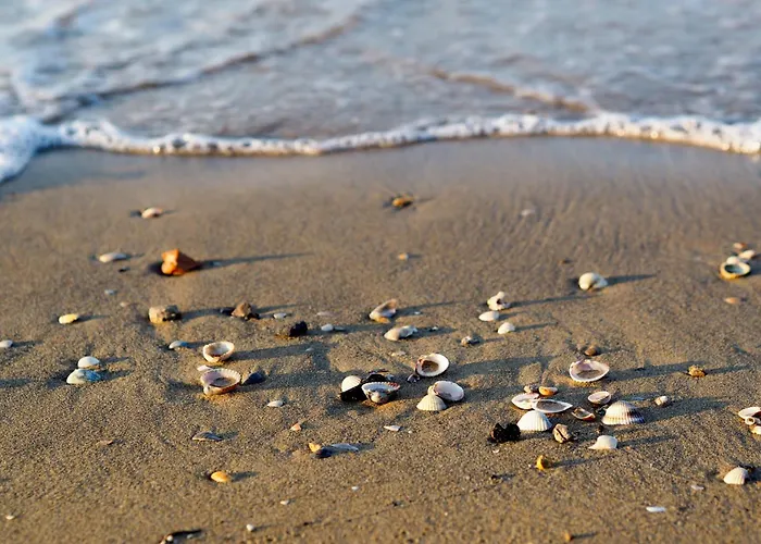 아파트 In 24632 비비오네